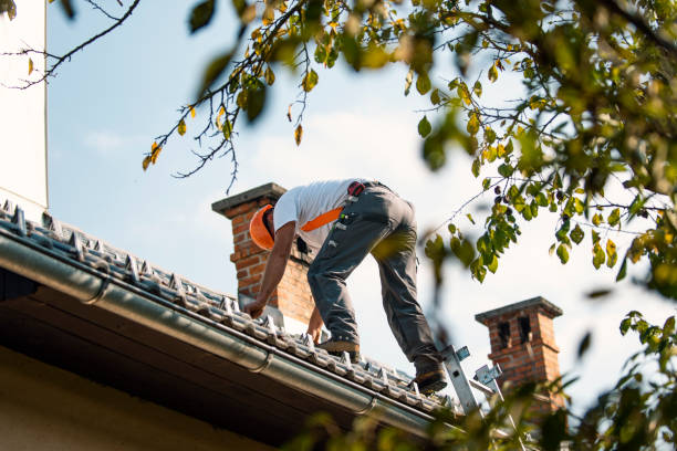 Best Commercial Roofing Services  in Milbank, SD