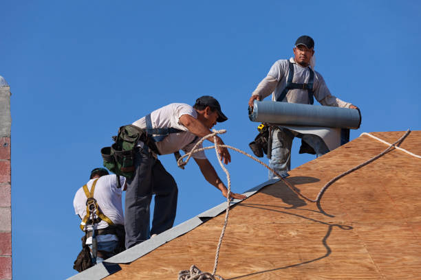 Best Roof Waterproofing Services  in Milbank, SD